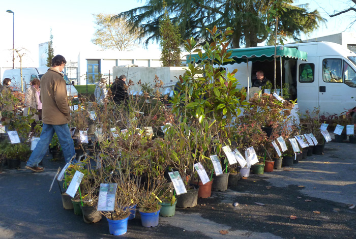 Foire aux arbres 2016