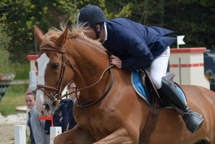 Championnat équestre du Morbihan Hunter