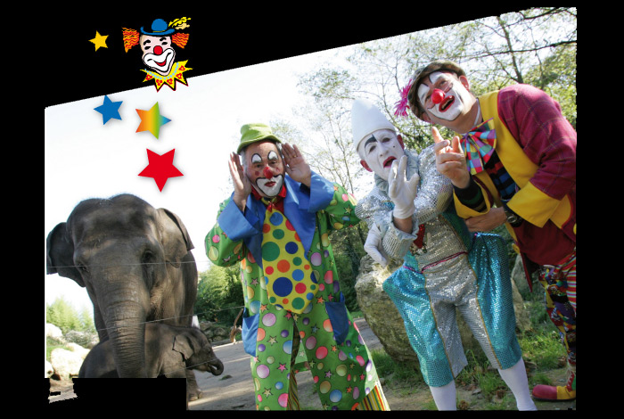 Grand spectacle de clowns des Tontons Yoyos