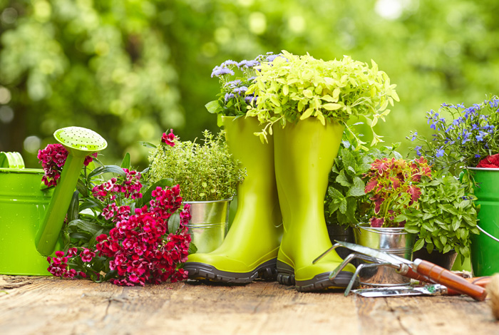 Conférence « Les 4 saisons au jardin »