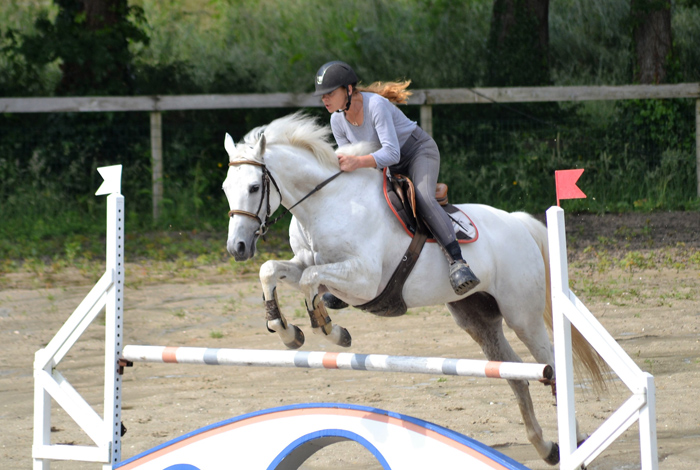 Concours équestre de saut d’obstacles