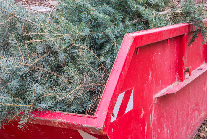 Collecte de sapins de Noël