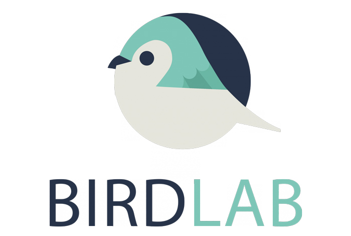 Quiz et observation Birdlab