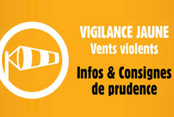 [INFO METEO] Dépression Domingos