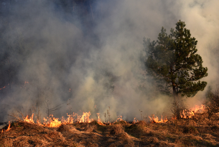 [Prévention des incendies] Soyons vigilants