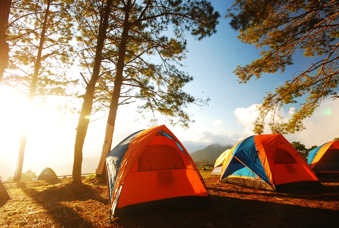 Mini-camps d’été