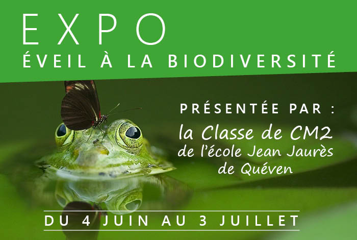 Exposition « Eveil à la biodiversité »