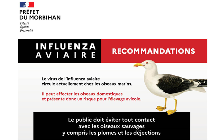 [Influenza aviaire] Vigilance élargie à tout le Morbihan