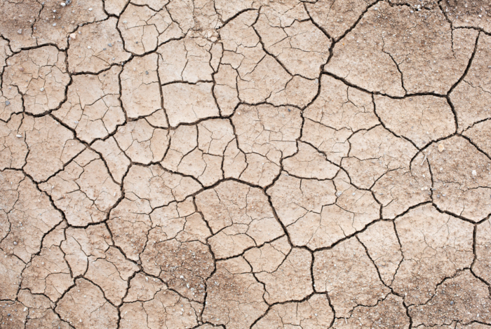 Sécheresse de 2022 : la commune de Quéven reconnue en état de catastrophe naturelle