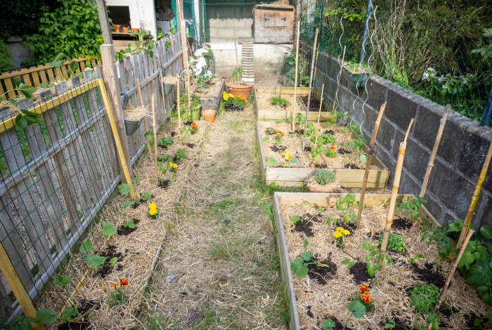 Valorisez vos déchets végétaux dès maintenant dans votre jardin !