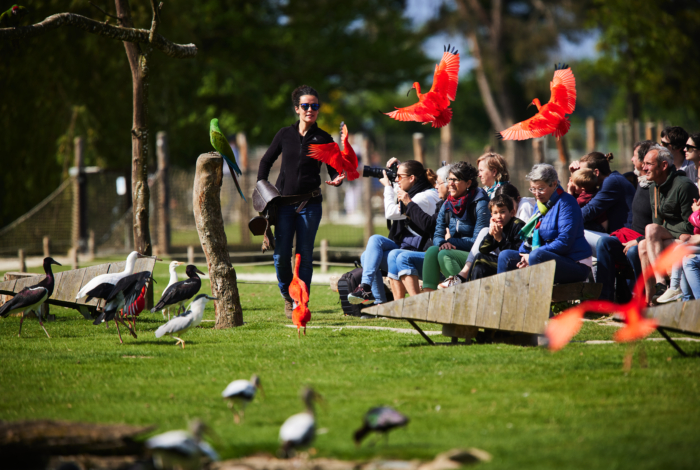 Sortie familiale au parc de Branféré