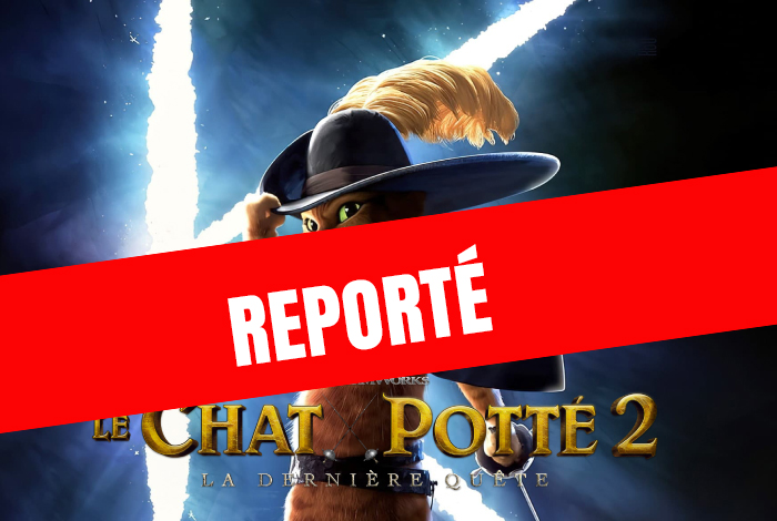REPORT Ciné plein air 2024 : « Le Chat Potté 2 : la dernière quête »