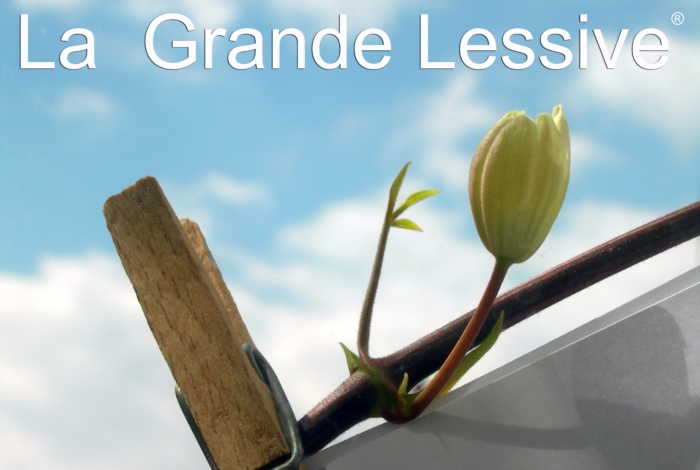 La Grande Lessive à Quéven [oct. 2025]