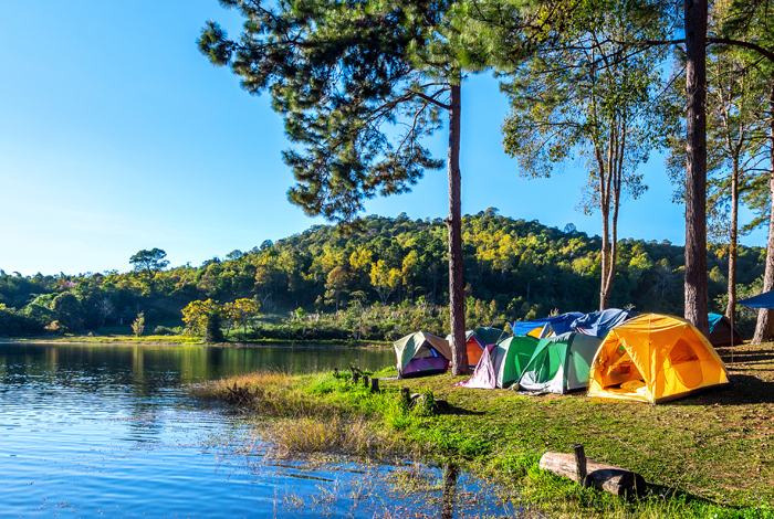 Mini-camps été 2026