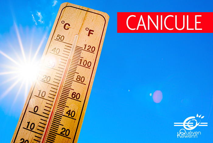Canicule : mesures prises par la Préfecture [juillet 2026]